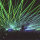 Lasershow